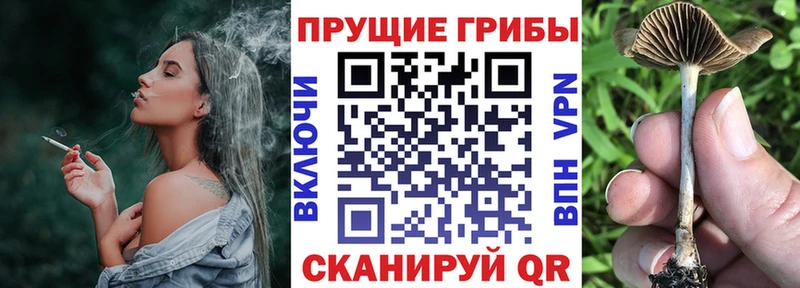 Галлюциногенные грибы мицелий  Купить где  Усмань 